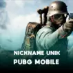 Cara Bikin Nickname Pubg Mobile Unik Terbaru 2022 Halogame